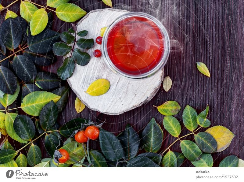 cup of hot tea on a wooden surface among the leaves Fruit Breakfast Vegetarian diet Beverage Juice Tea Cup Mug Summer Leaf Wood Glass Eating Fresh Hot Natural