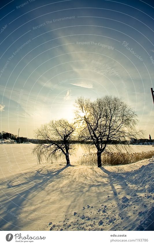 |Helsinki|#2| Vacation & Travel Tourism Winter Snow Winter vacation Environment Nature Landscape Elements Earth Sky Sunrise Sunset Beautiful weather Park