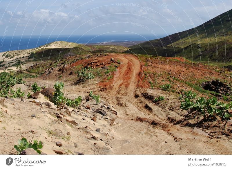 The way Vacation & Travel Far-off places Freedom Ocean Island Nature Landscape Hill São Vicente Cabo Verde Africa Discover Tracks Horizon Shadow Sand