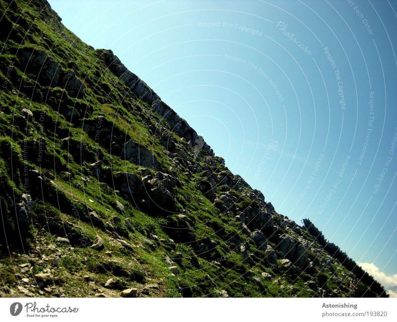 escarpment Environment Nature Landscape Plant Earth Sky Summer Climate Weather Beautiful weather Warmth Grass Bushes Moss Meadow Rock Alps Mountain Peak Going