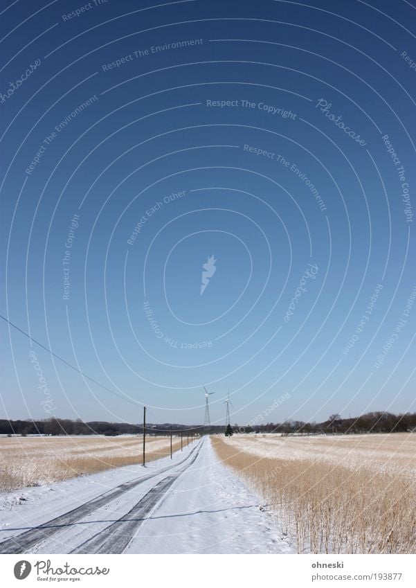 Oh, how beautiful it is... Environment Nature Landscape Plant Sky Cloudless sky Horizon Climate Weather Beautiful weather Ice Frost Snow Bushes Field Blue Happy