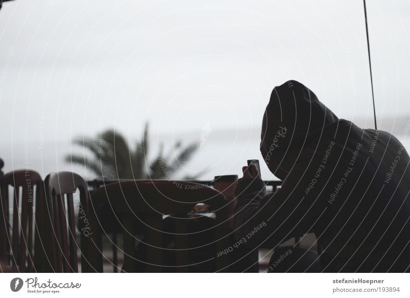 rainy day Ocean Human being Androgynous Sky Clouds Storm clouds Bad weather Rain Palm tree Think Relaxation Study Reading Uniqueness Nerdy Gloomy Moody Patient