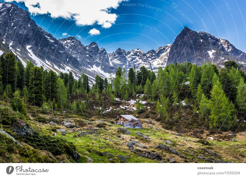 Alpine hut on Lake Berglisee Nature Landscape Sky Spring Tree Grass Rock Alps Mountain Deserted Hut Relaxation Cuddly Wild Blue Green Loneliness Quaint Remote