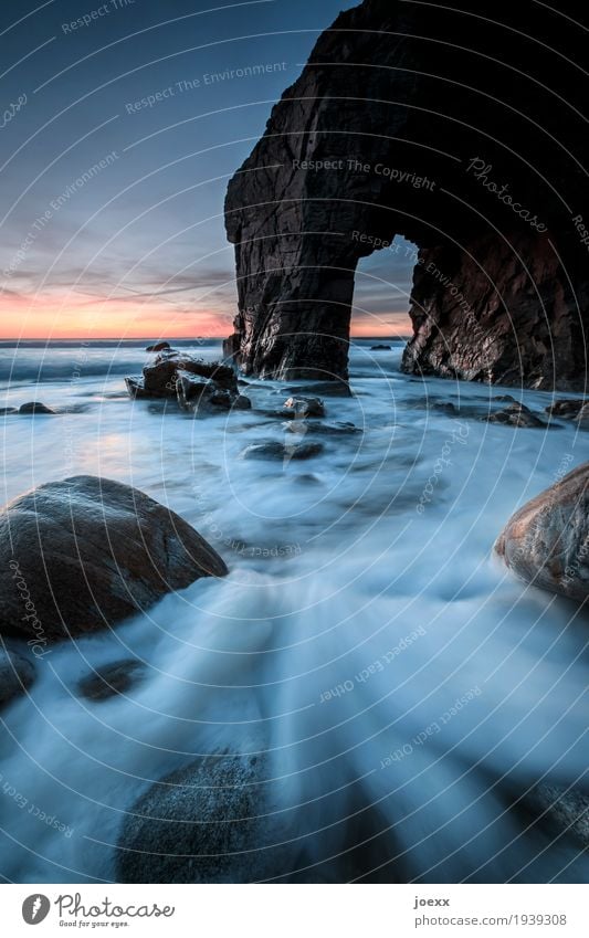 seaweed Landscape Sky Horizon Sunrise Sunset Beautiful weather Rock Waves Coast Quiberon Maritime Wet Wild Blue Brown Orange Black Wanderlust Loneliness