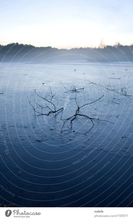 winter fog Far-off places Winter Mountain Landscape Water Sky only Horizon Fog Ice Frost Tree Lakeside Bog Marsh Wood Dark Creepy Cold Blue Gray White Calm