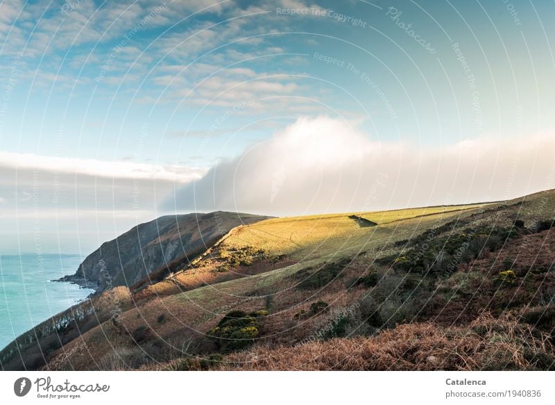 More Moor ... Nativity landscape Hiking Nature Landscape Water Sky Clouds Winter Beautiful weather Fog Grass Bushes Moss Meadow Hill Rock Ocean Bog Cliff