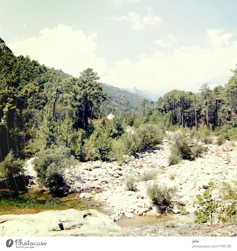 on the way up. Nature Plant Earth Water Sky Summer Beautiful weather Tree Bushes Forest Rock Mountain River To enjoy Hot Bright Stone Colour photo Exterior shot