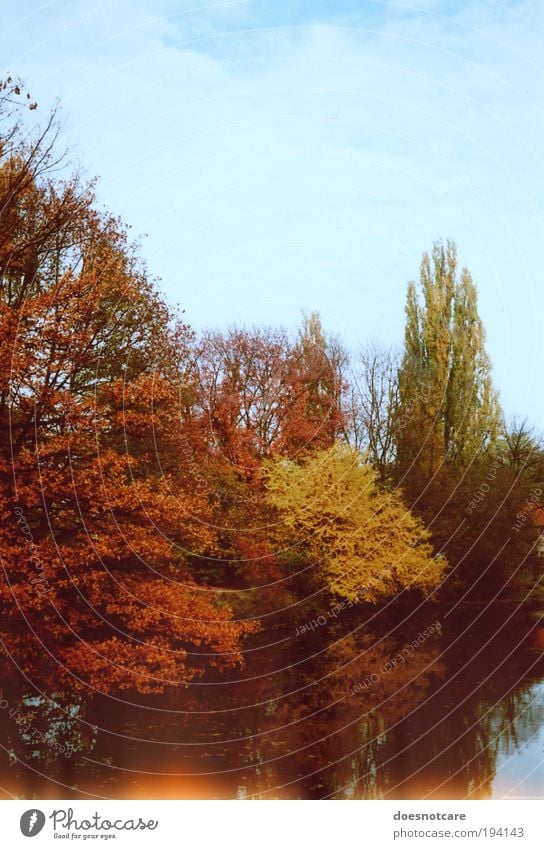 Autumn Revisited. Nature Plant Forest Yellow Autumnal Autumn leaves Reflection River Water reflection Tree lightleak Patch of light Colour photo Subdued colour