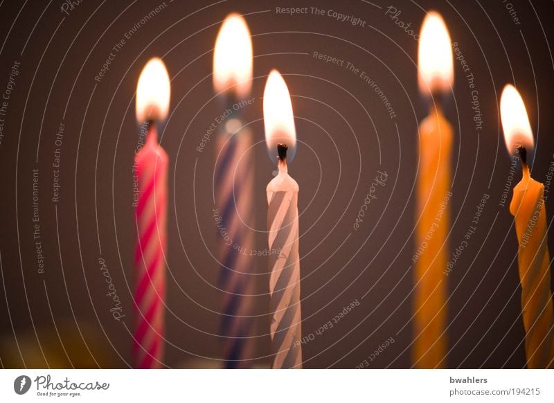 birthday Feasts & Celebrations Birthday Decoration Candle To enjoy Hot Bright Multicoloured Joy Happy Happiness Joie de vivre (Vitality) Surprise Desire