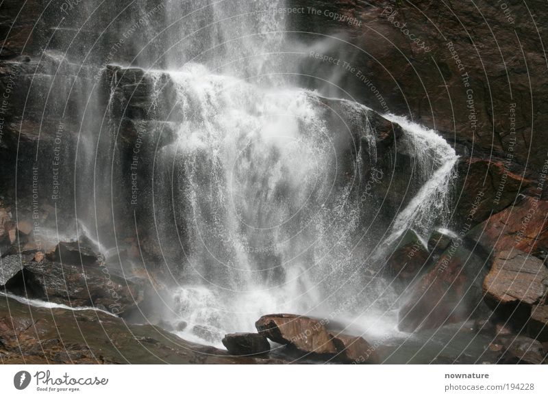 Ramboda Waterfall Environment Nature Elements Virgin forest Rock Stone Authentic Wild Sri lanka Sri Lanka High plain South Asia South East Asia Ramboda Falls