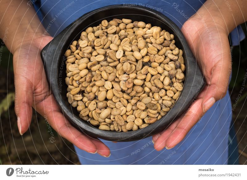 toasted coffee beans in a bowl - woman holding coffee beans Breakfast Coffee Espresso Bowl Hand Heart Dark Fresh Natural Brown Black Beans Hold Cappuccino Café