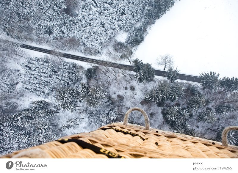 fake Nature Landscape Winter Ice Frost Snow Forest Street Aviation Hot Air Balloon Driving Cold Above Under Calm Joy Bird's-eye view Balloon flight Basket Tall