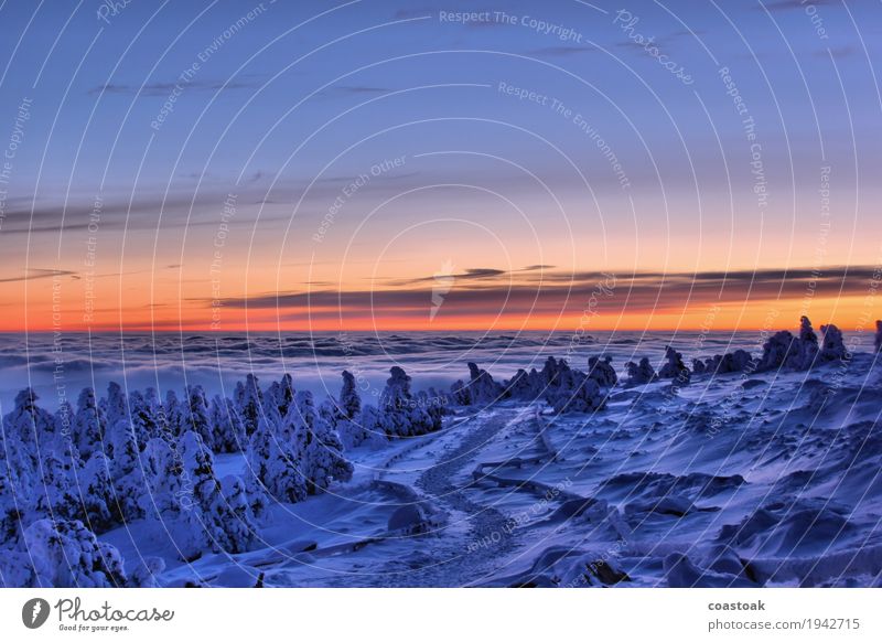 Morning view from the Brocken Nature Landscape Sky Clouds Sunrise Sunset Winter Ice Frost Mountain Peak Lanes & trails Fresh Cold Blue Orange Adventure