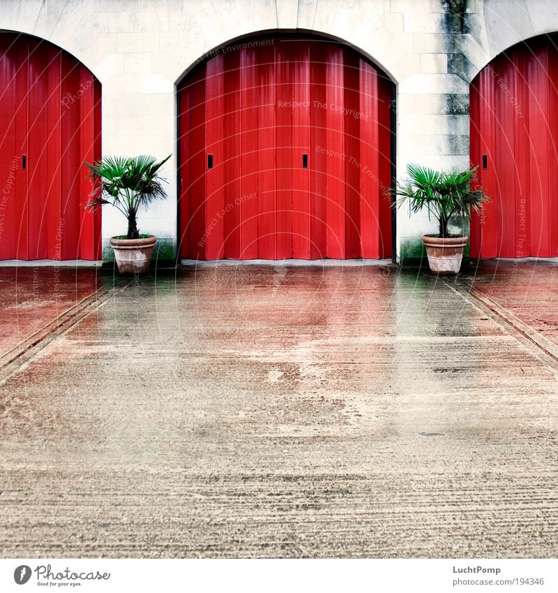 Go the whole hog Mountain Symmetry Gate Plant Flowerpot Palm tree Garage door Red Tin Concrete Wall (building) Highway ramp (entrance) Calm Fire department