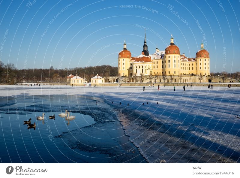 Moritzburg Architecture Populated Castle Park Manmade structures Building Tourist Attraction Landmark Moritzburg Castle Historic Rich Vacation & Travel Winter