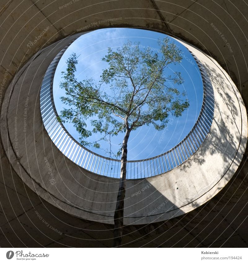 last exit Sightseeing Autumn Tree Vienna Austria Europe Capital city Deserted Architecture Terrace arc of a circle Concrete Wood Optimism Brave Claustrophobia