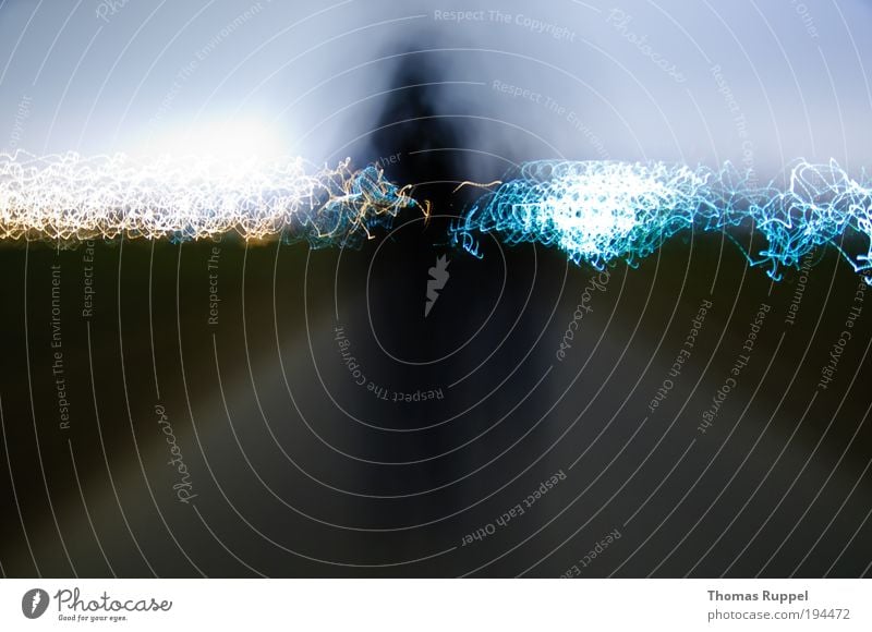 On the way to the light Light (Natural Phenomenon) Visual spectacle Human being 2 Environment Nature Sky Cloudless sky Night sky Grass Meadow Field Outskirts