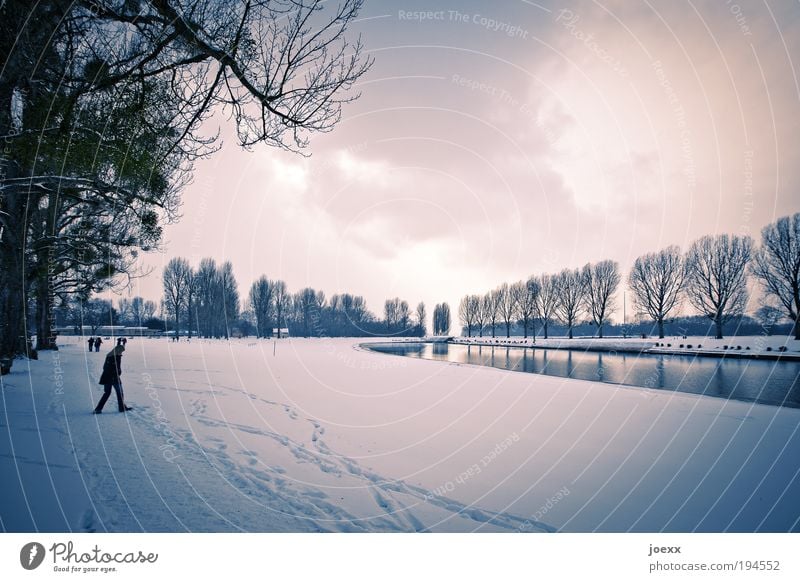 Kick the Winter Human being 1 Environment Landscape Clouds Snow Park Going Aggression Cold Pond Tree Colour photo Subdued colour Exterior shot Day Snow track