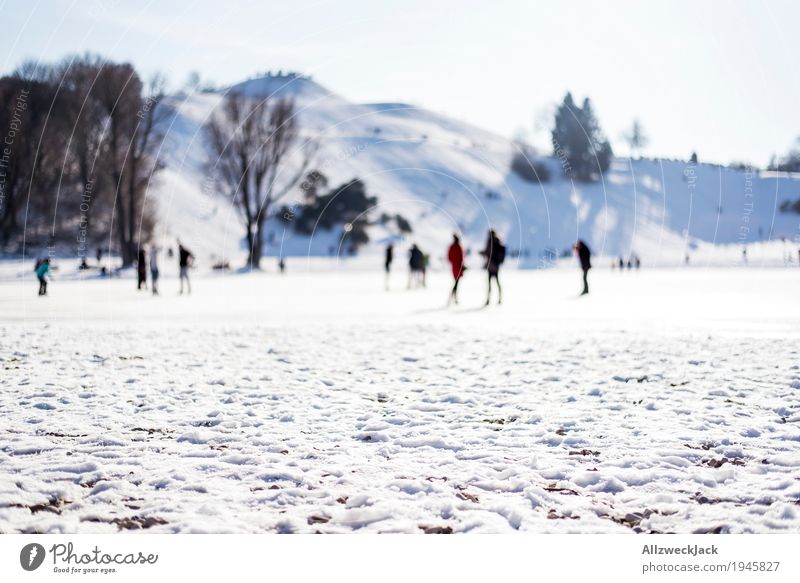 winter walk Winter Snow Life Crowd of people Cloudless sky Beautiful weather White Movement Society Idyll Cold Munich Olympic Park To go for a walk Colour photo