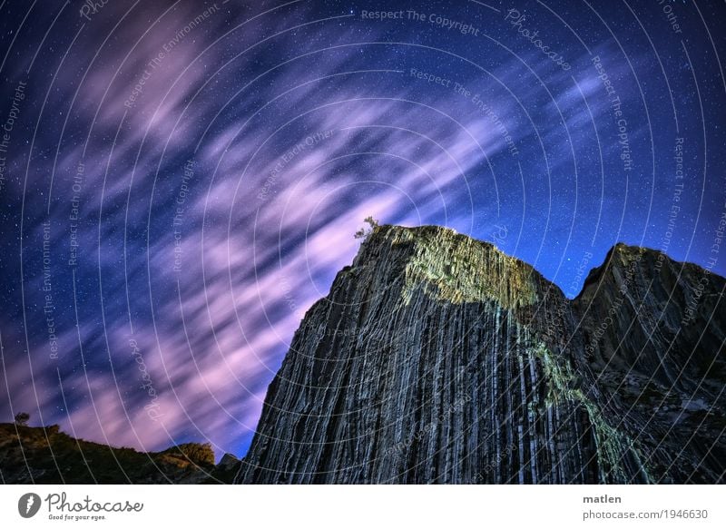 in the front row Nature Landscape Sky Clouds Beautiful weather Tree Rock Mountain Blue Gray Green Pink White flysch Pull Colour photo Exterior shot Abstract