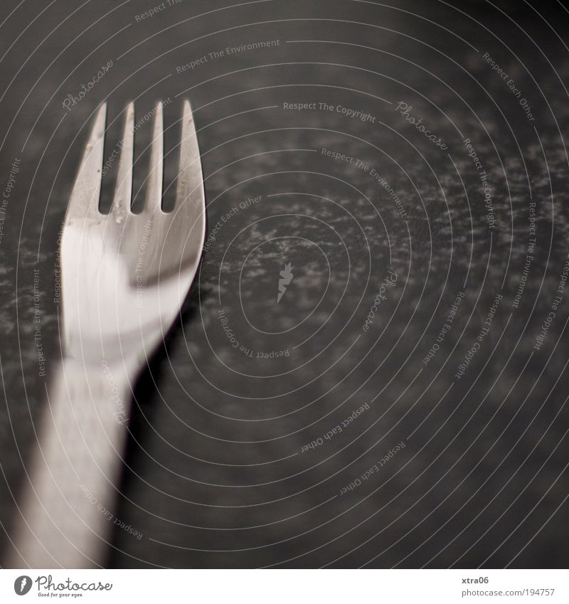 fork Cutlery Fork Authentic Tabletop worktop Silver Point silver-plated marbled Marble Colour photo Subdued colour Interior shot Close-up Detail