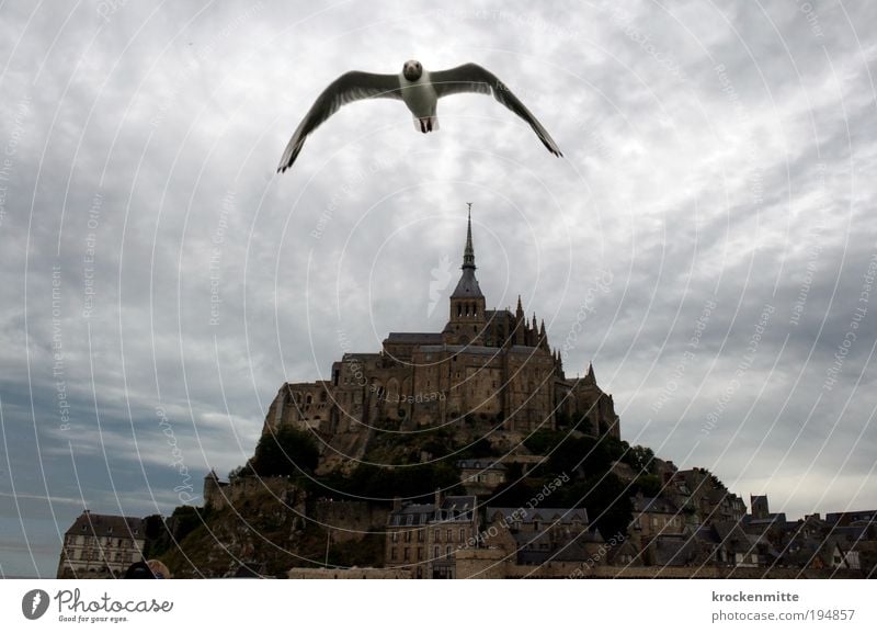 BirdPerspective Sky Clouds Storm clouds Bad weather Building Architecture Tourist Attraction Landmark Mont St. Michel Holy Flying Threat Moody France Normandie