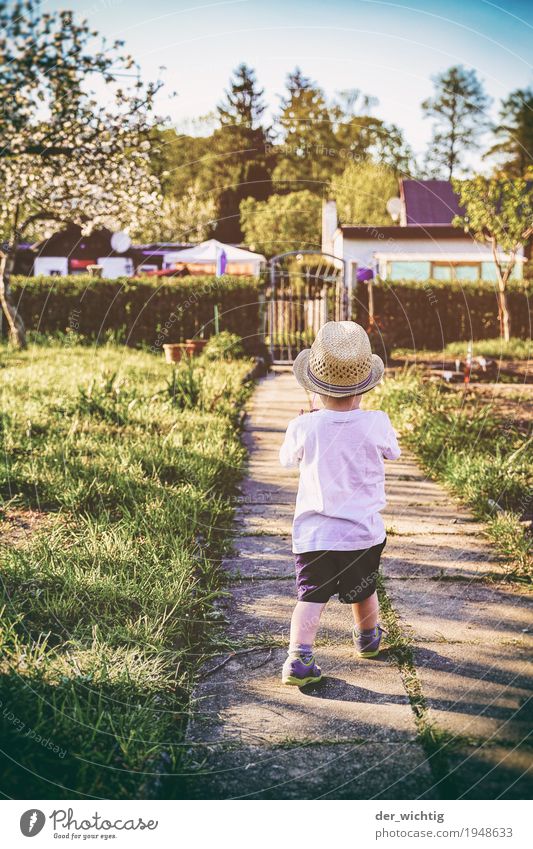 Take a look #2 Playing Adventure Summer Sun Garden Masculine Boy (child) Infancy Body 1 Human being 1 - 3 years Toddler Beautiful weather Plant Tree Bushes