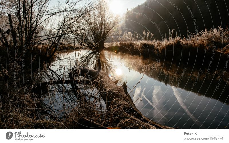 Sunrise in the Lautertal Valley Tourism Trip Environment Nature Landscape Plant Water Sunset Autumn Beautiful weather Tree Grass Bushes Field Brook