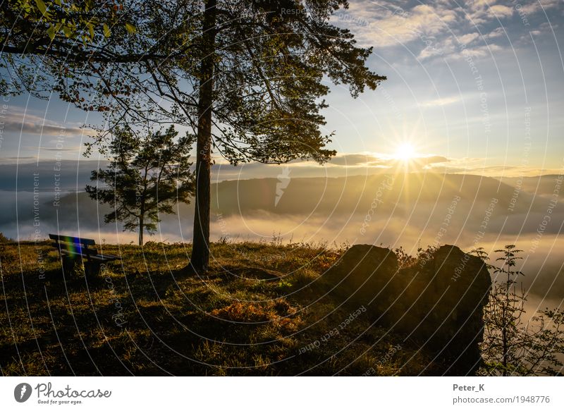 Sunrise at the Albtrauf Well-being Contentment Relaxation Calm Meditation Tourism Trip Freedom Environment Nature Landscape Plant Sky Clouds Sunset Sunlight