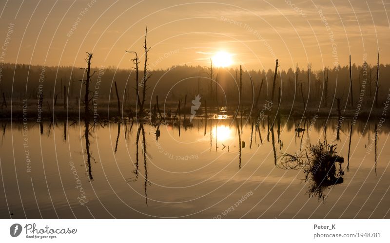 Schwenninger Moss Vacation & Travel Tourism Trip Freedom Sightseeing Winter Nature Landscape Plant Water Sky Clouds Sun Sunrise Sunset Sunlight