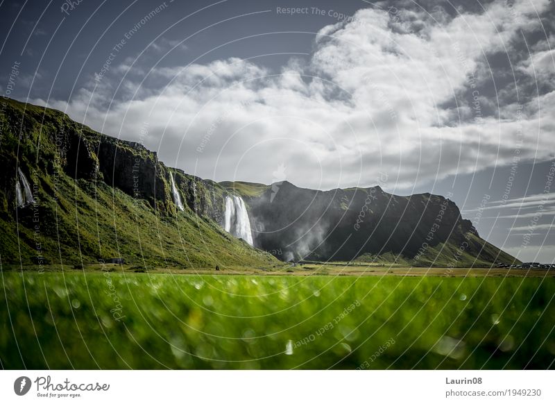 Seljalandsfoss waterfall on Iceland Vacation & Travel Tourism Trip Adventure Far-off places Freedom Summer Mountain Hiking Nature Landscape Plant Elements Earth