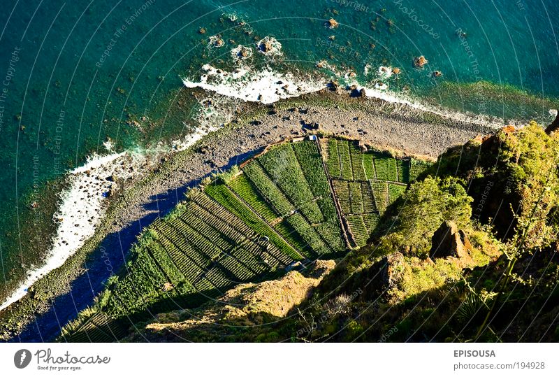 View of Cabo Girao, Madeira island. Day Europe Portugal Belvedere Tourist Ocean Agriculture Beautiful Altimeter Atlantic Ocean Tourism Looking Airhole Cliff