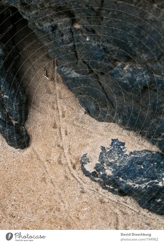 The cave of a hunter Nature Landscape Sand Rock Animal tracks Black Colour photo Exterior shot Structures and shapes Day Contrast Bird's-eye view Hiding place