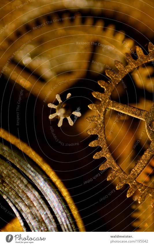 clockwork Time machine Clock Wait Old Brown Gold Prompt Calm Nostalgia Gearwheel Watch mechanism Studio shot Macro (Extreme close-up)