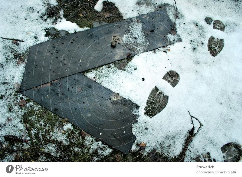 Tracks in the snow Environment Landscape Snow Relationship Discover Colour photo Exterior shot Long shot Downward Day