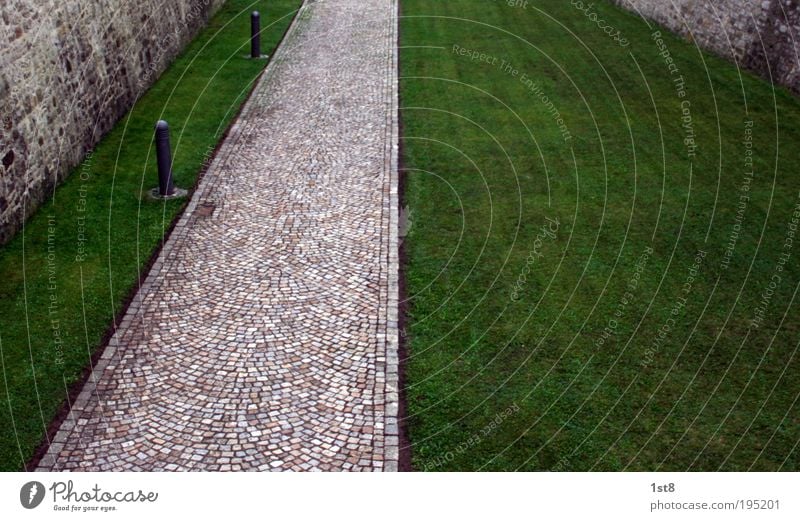 Where's helga? Environment Nature Grass Erfurt Deserted Manmade structures Fortress Wall (barrier) Wall (building) Tourist Attraction Landmark Street