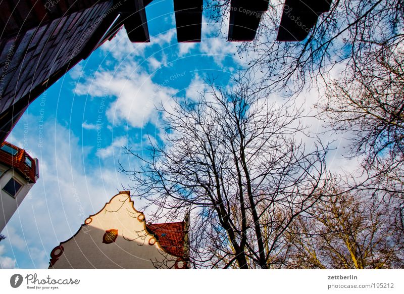 Steglitz Architecture steglitz peaceable March Schöneberg Sky Tree Branch Twig House (Residential Structure) Gable Clouds Sun Light