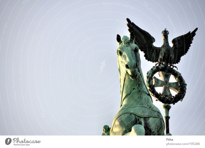 Horse and bird Statue Tourist Attraction Brandenburg Gate Quadriga Old Esthetic Copper Verdigris Green undertone Colour photo Exterior shot Day Detail