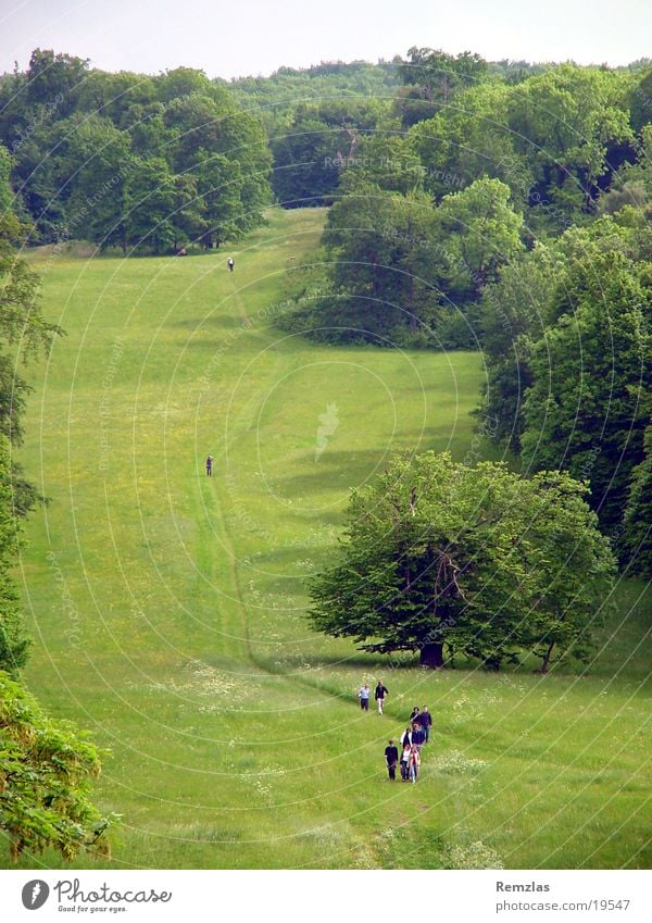 A walk in the countryside Hiking Green Meadow Tree To go for a walk Footpath Spring day Vantage point Nature