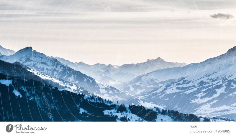 View from the Beatenberg Mountain Bernese Oberland Switzerland Rock Alps niederhorn Winter Hiking Vantage point Background picture Landscape Nature