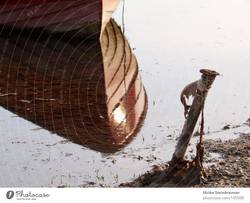 Reflection of the underside of a fishing boat in the evening light Vacation & Travel Sun Beach Ocean Island Closing time Rope Navigation Water Algae Bay