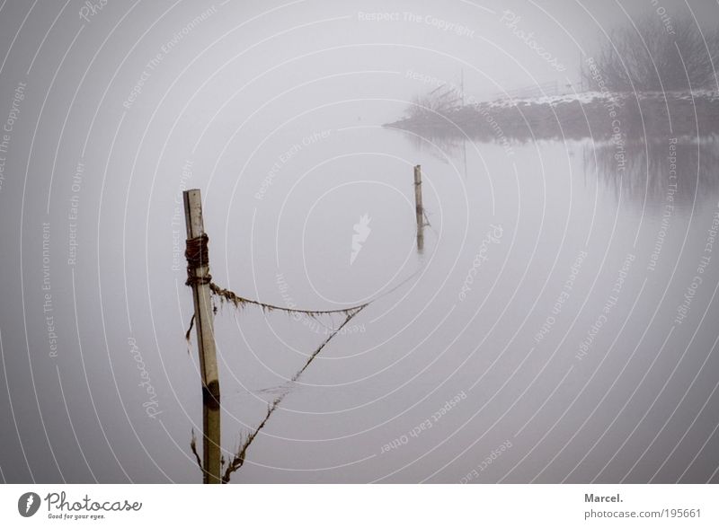 Lonely, quiet and cold! Nature Water Fog Ice Frost Bay Observe Dark Cold Brown Gray Black White Emotions Moody Loneliness Relaxation Style Stagnating Weser Wet