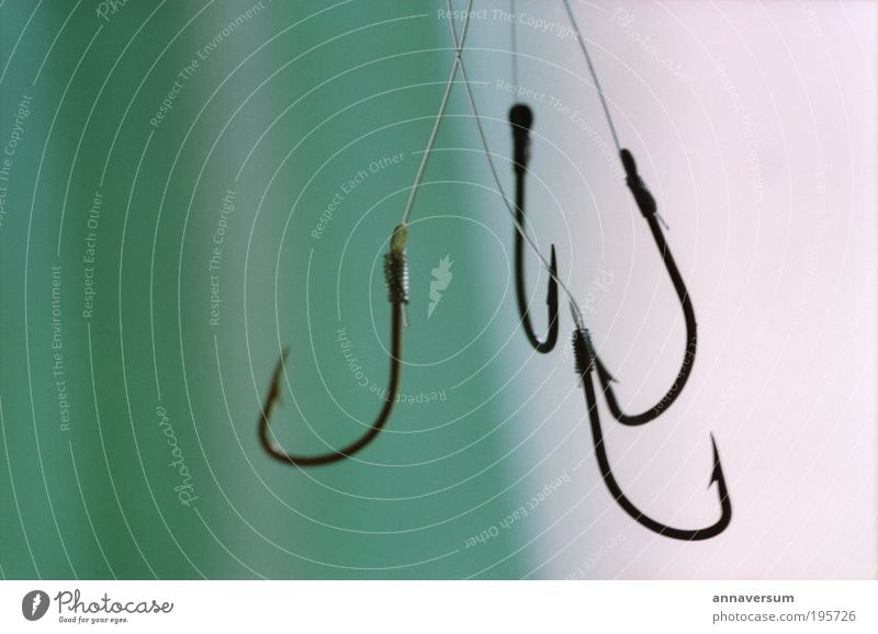 fishhooks Fishing (Angle) Checkmark Threat Point Green Serene Patient Dangerous Affectionate Colour photo Subdued colour Studio shot Detail Deserted Silhouette