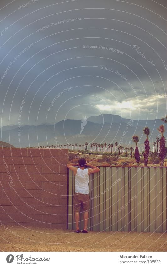 Palm Springs Masculine Young man Youth (Young adults) 1 Human being 18 - 30 years Adults Nature Landscape Clouds Storm clouds Summer Climate Beautiful weather