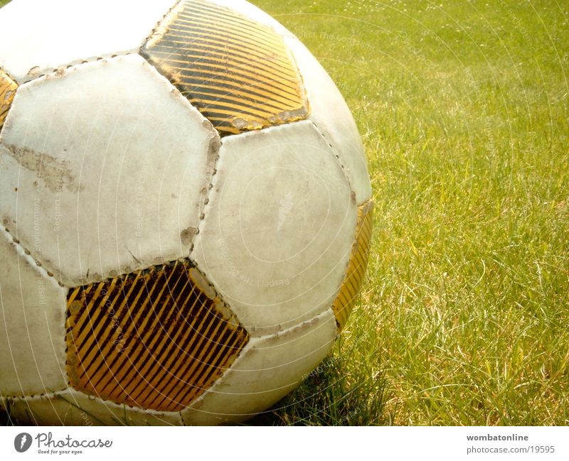 Season has begun Grass Summer Sports Second-hand Close-up Shabby Detail Grass surface Foot ball Deserted Exterior shot Colour photo