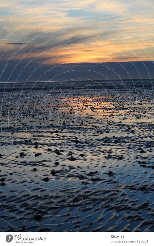 Sunset in the Wadden Sea Landscape Elements Water Sky Horizon North Sea Ocean Mud flats bunch Relaxation Dream Fantastic Infinity Sustainability Wet Natural