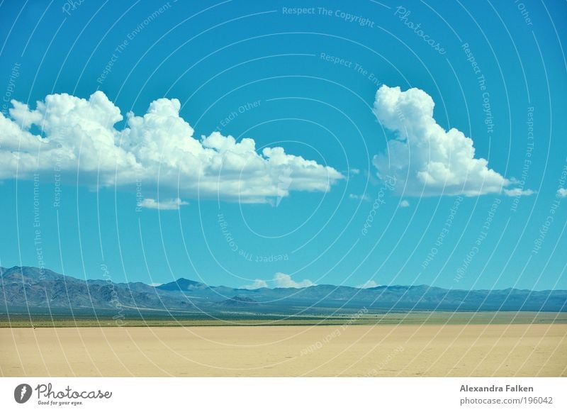 desert Sky Clouds Climate Beautiful weather Blue Desert Desert road Nevada USA Americas Highway Clouds in the sky Mountain Hill Blue sky Green Continents