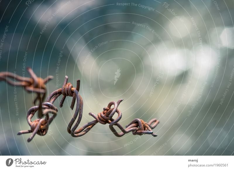 Bent spacer Barbed wire Metal Rust Point Aggression Protection Concern Loneliness Dangerous Force Divide Irritation Change Destruction Threat Bend Useless