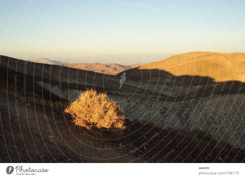 Light and shadow Environment Nature Landscape Sky Cloudless sky Beautiful weather Plant Bushes Mountain Death valley Nationalpark Desert Warm-heartedness Calm