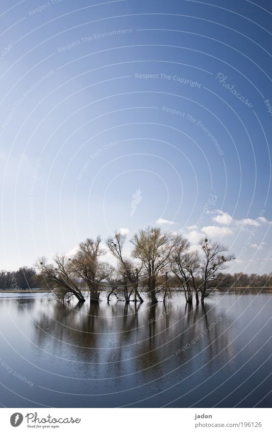 river landscape Nature Landscape Sky Tree River Oder Observe Esthetic Infinity Stagnating Tourism Environment Far-off places Water Flood Mirror image